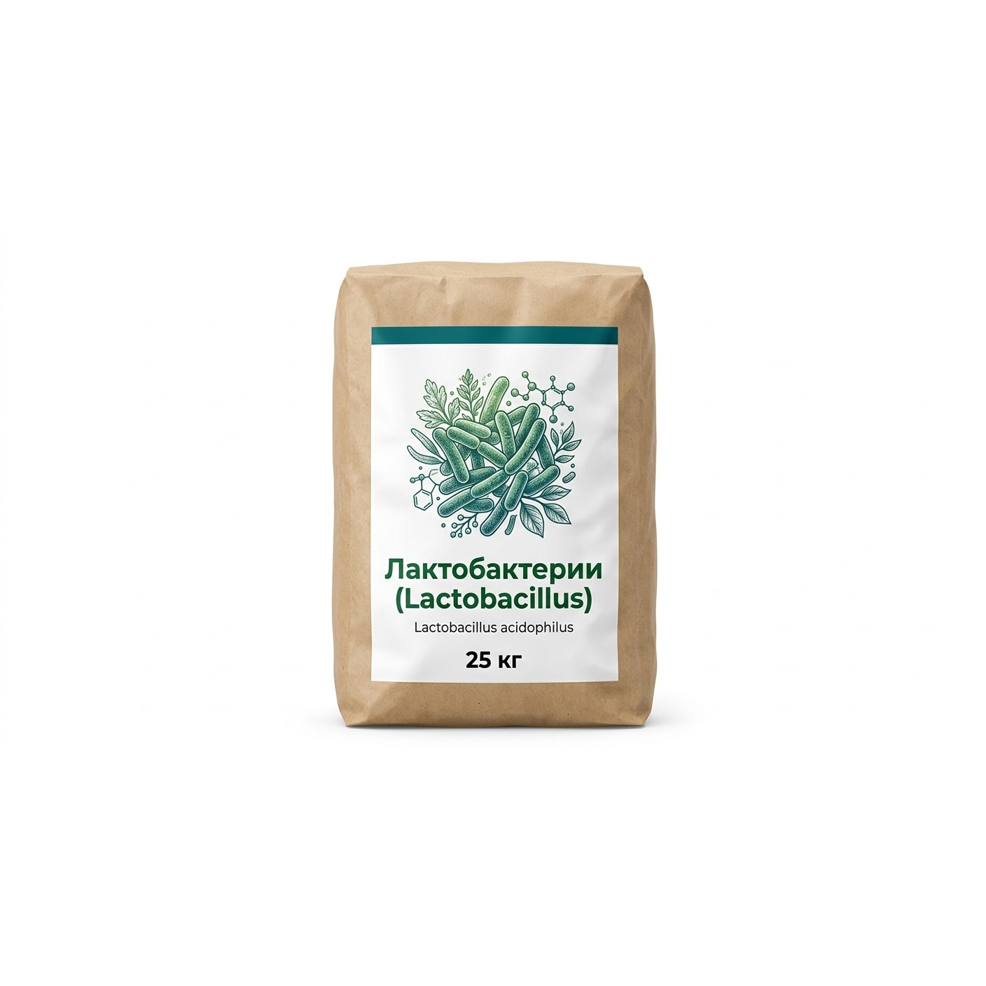 Лактобактерии (Lactobacillus)