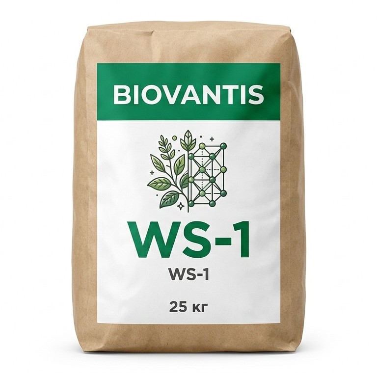WS-1