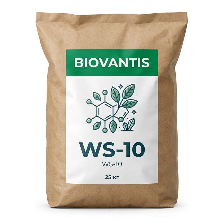 WS-10