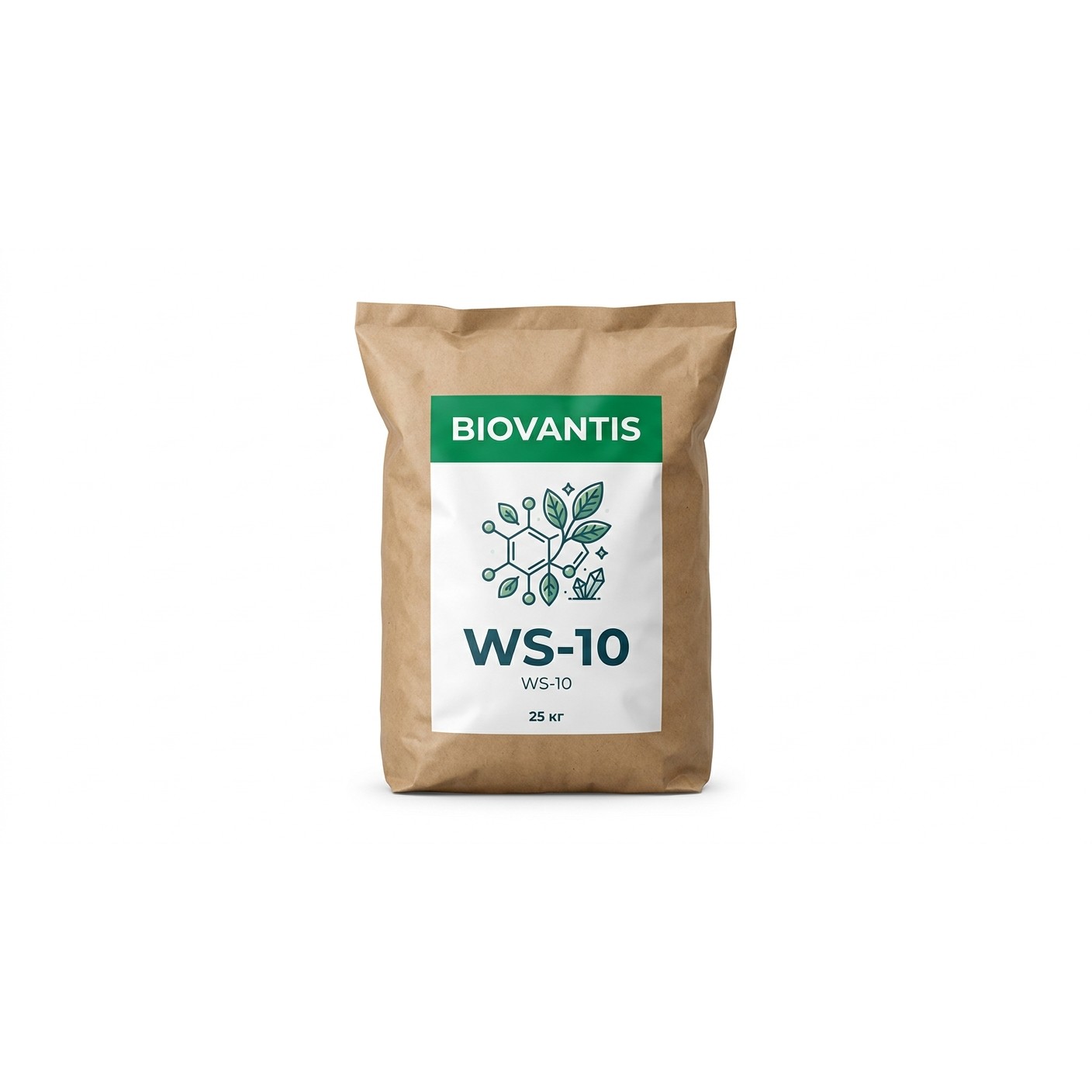 WS-10