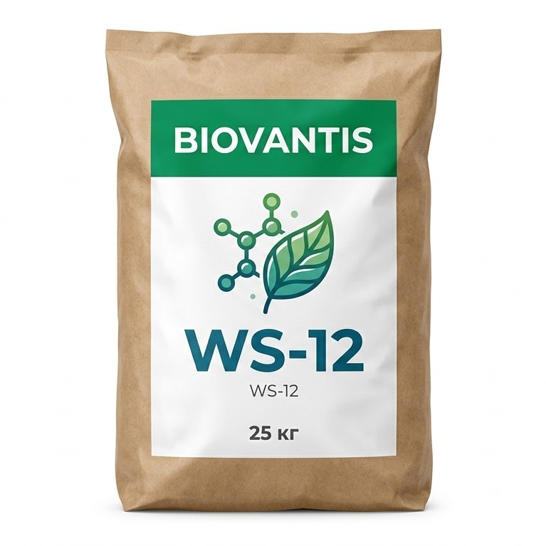 WS-12