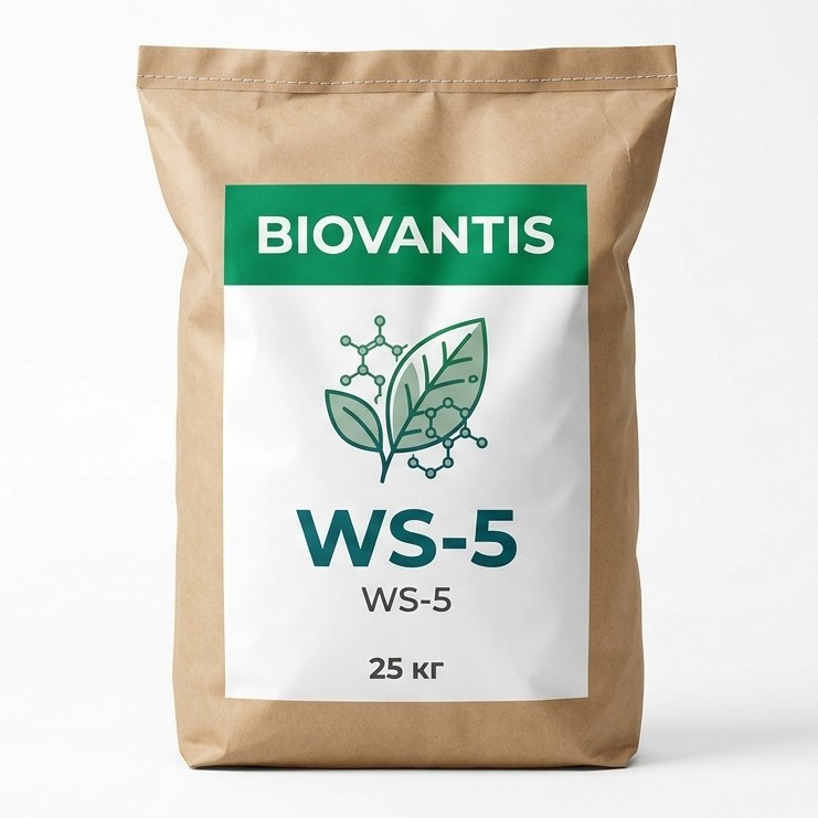 WS-5