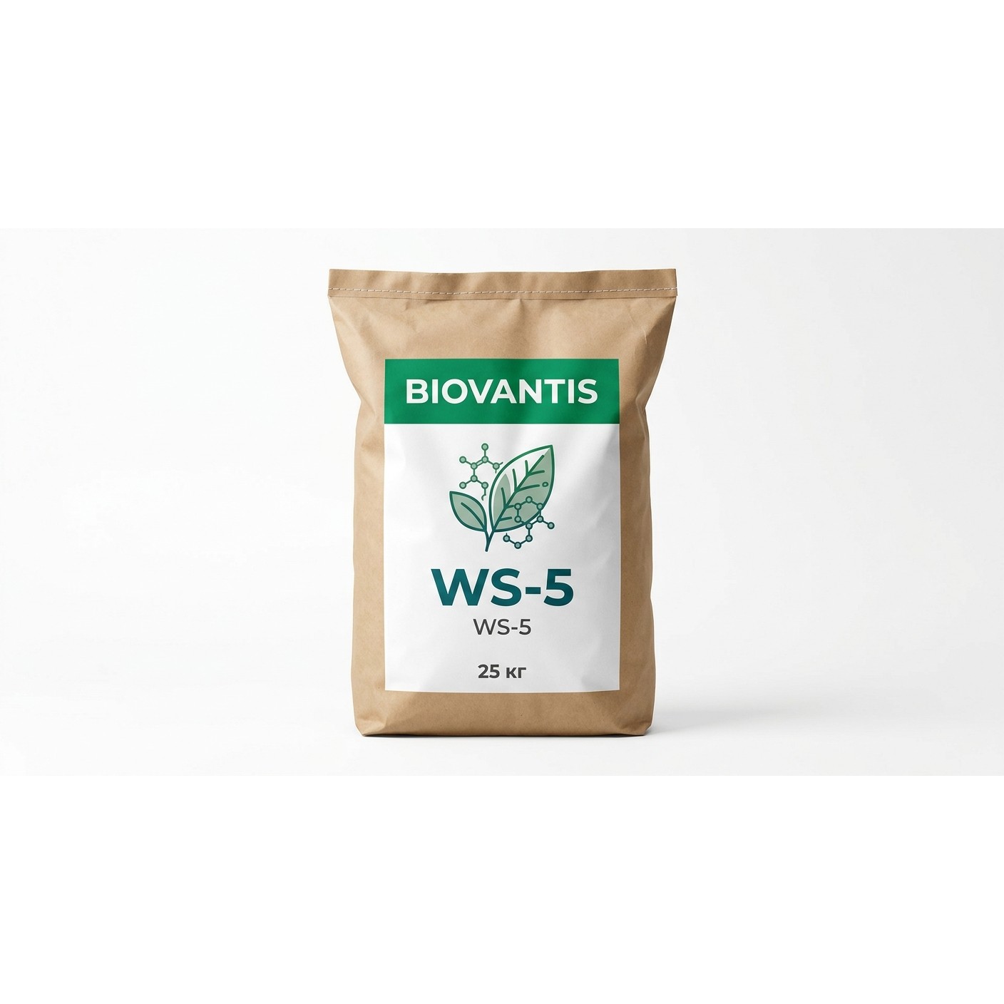 WS-5